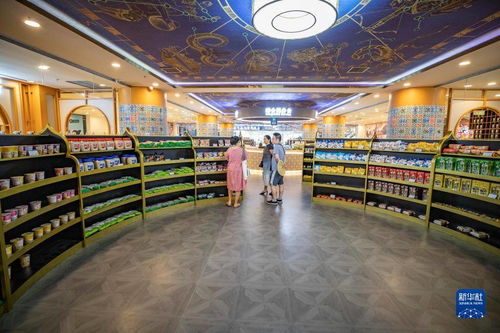 重慶絲路花街 構(gòu)筑‘一帶一路’消費新體驗商品交易中心